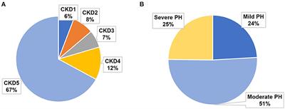 Prognostic effect of pulmonary hypertension in patients with chronic kidney disease: Univariate and multivariate analyses of factors associated with survival